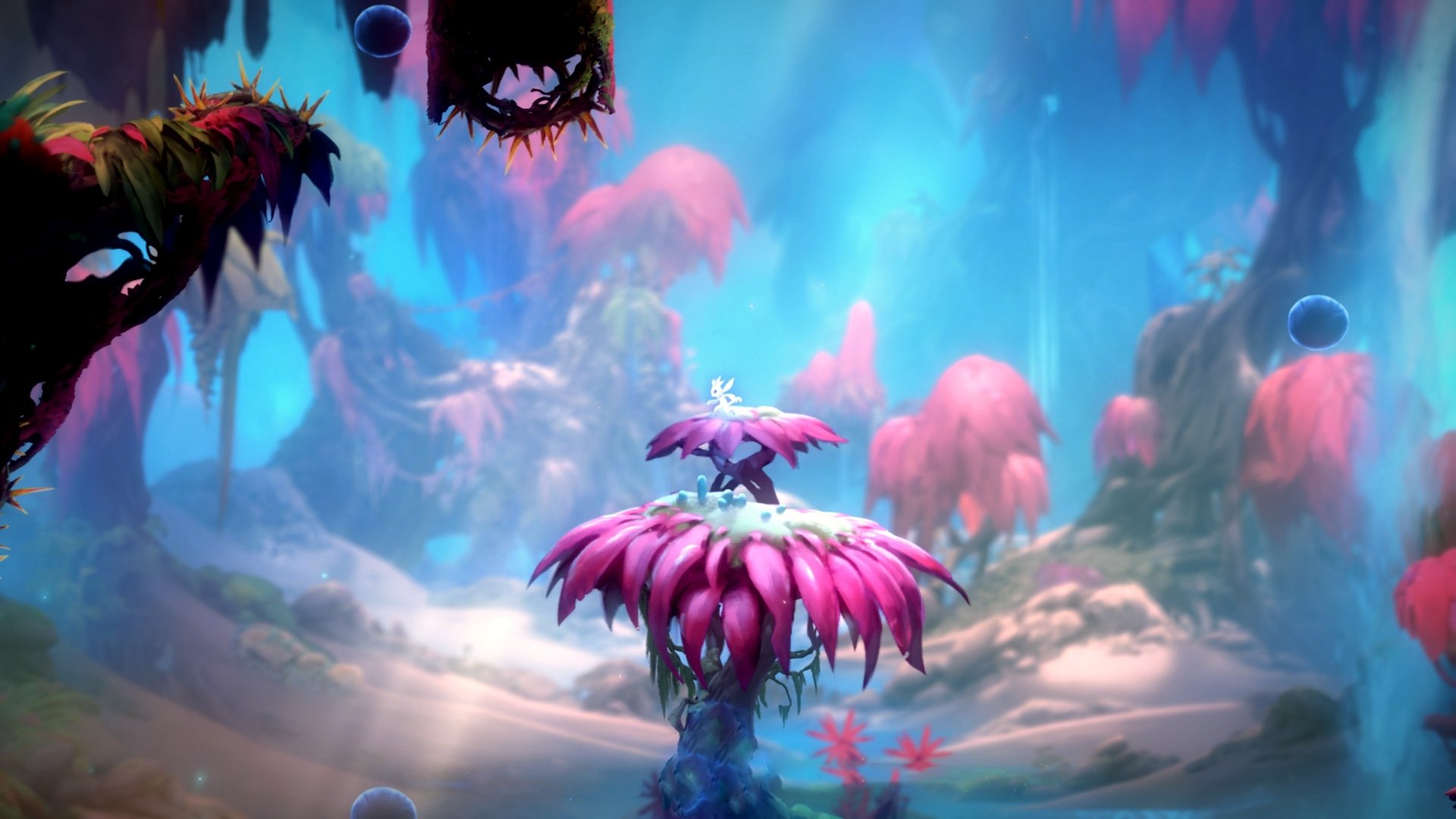 _极限风筝冲浪:在海风中追逐自由_,极限风筝视频