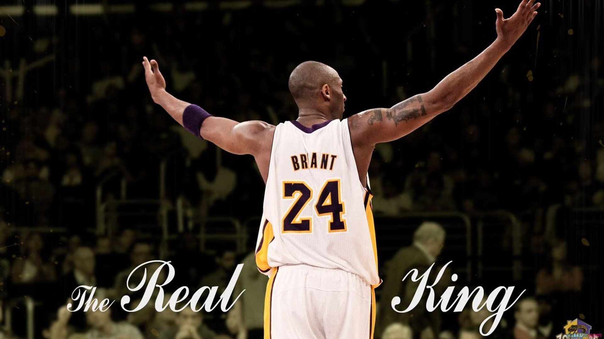 _海底探险滑翔:在海底世界畅快遨游_,海底探险绘画