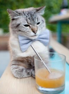 “青训学院引入虚拟现实学习平台,创新培养模式”,青训课是什么意思