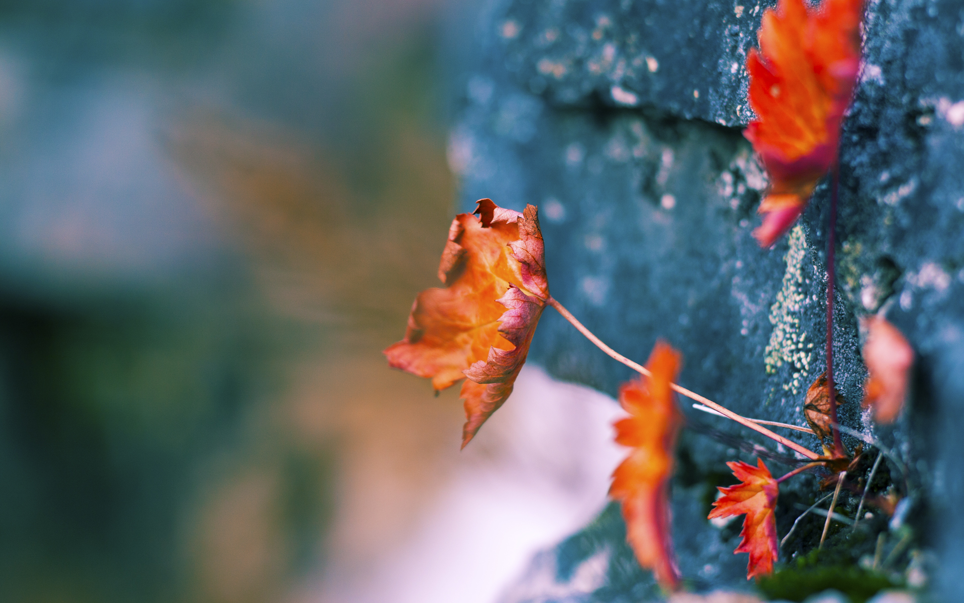 爱游戏电竞官网-从业人员访谈：幕后故事揭秘，从业者访谈