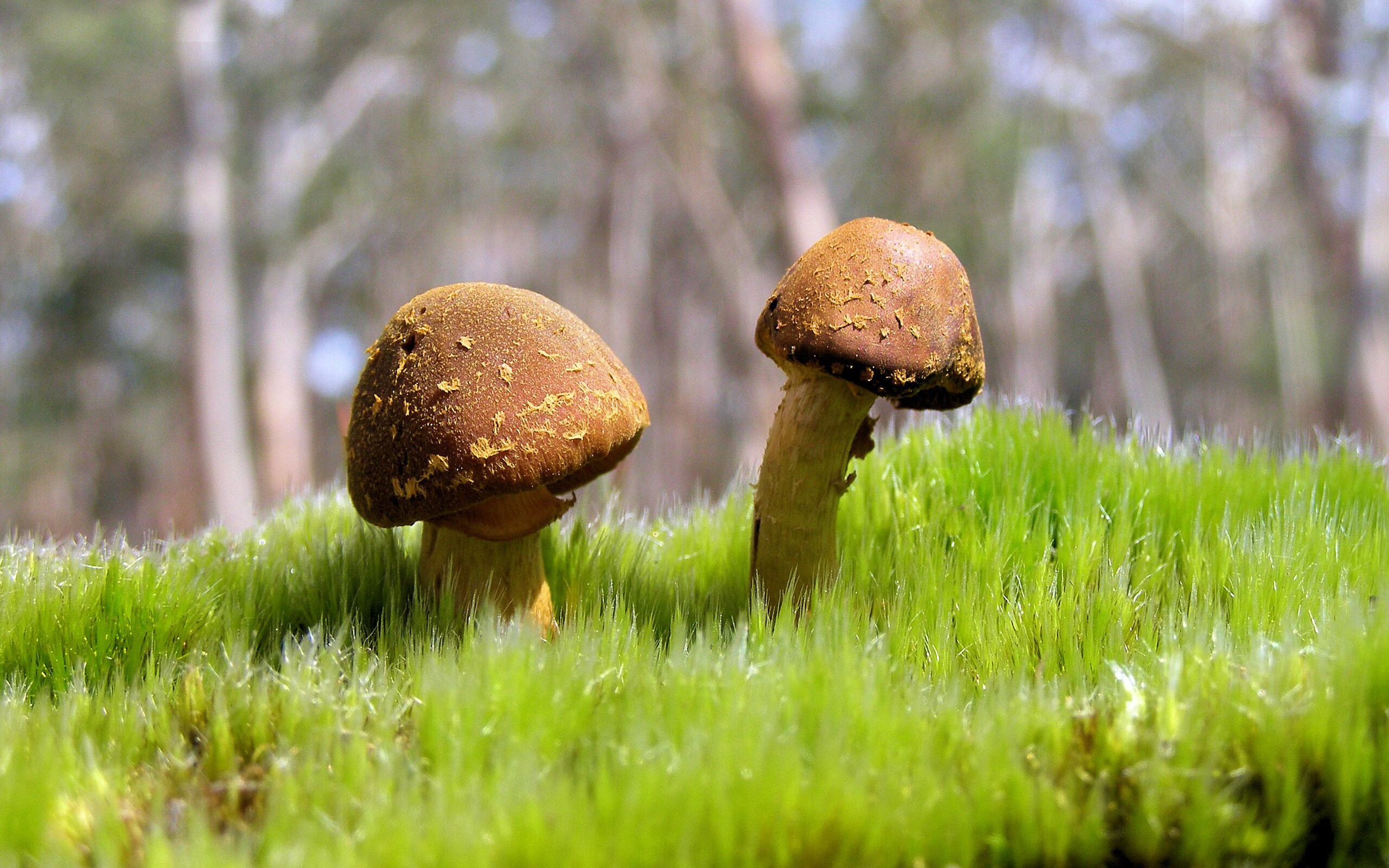 AYX GAME-从开幕到收官：F1年度精彩瞬间集锦，2019年f1揭幕战中获得冠军的车队是