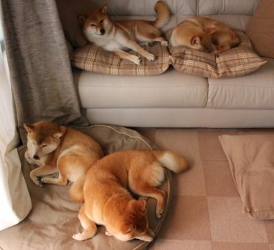 -逆风翻盘的“奇迹战队”：用信念逆天改命，奇迹战队成员