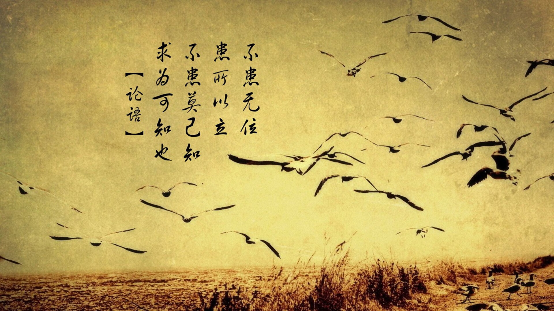 中国男足在巴黎奥运会比赛中以1-0战胜意大利，奥运会男足中国对巴西