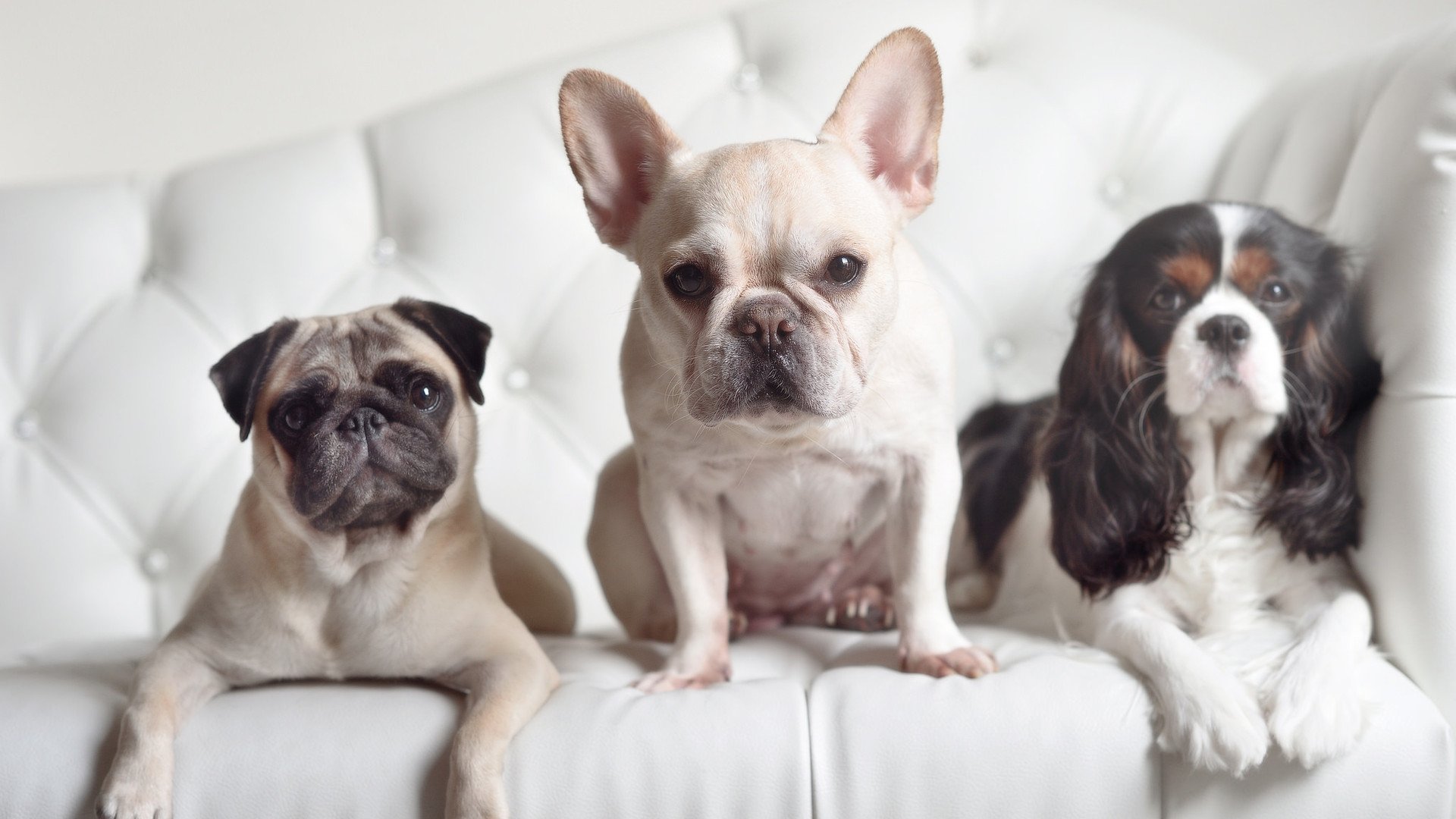 爱游戏下载-劲旅互搏！比赛如火如荼，双方你来我往，劲旅集团怎么样