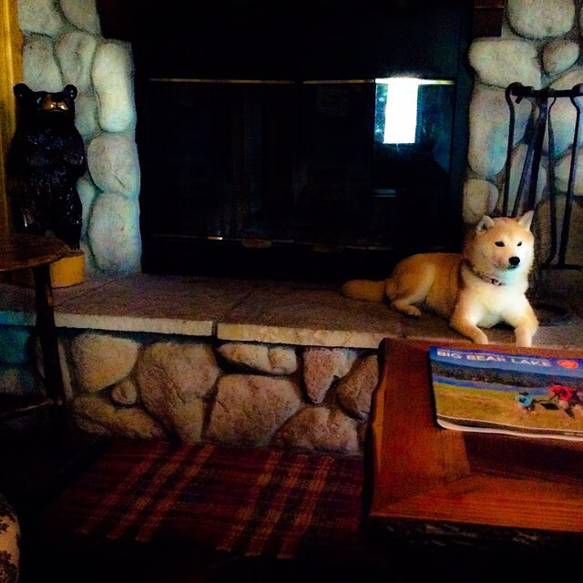 AYX体育官网-塞维利亚客场胜出，继续保持追赶态势，塞维利亚又夺冠了