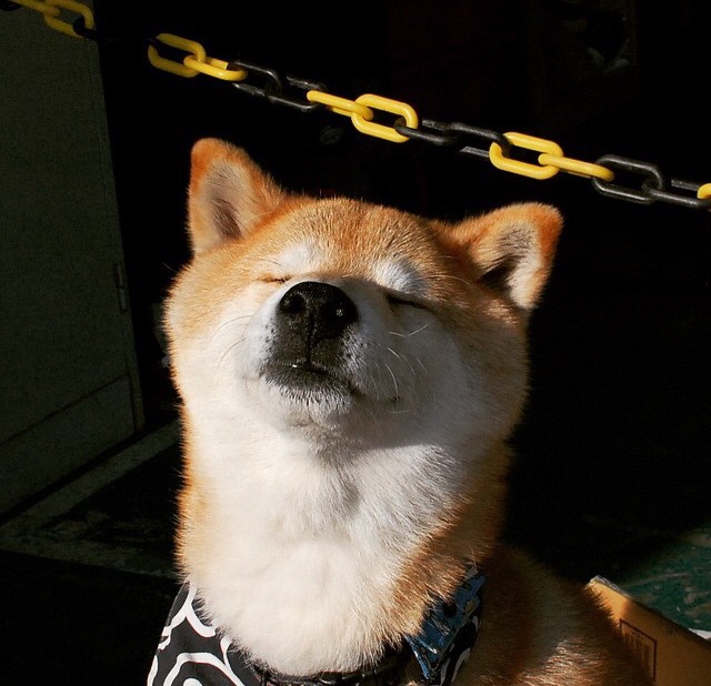 AYX官网-职业球员退役后就业指导是否完善，职业球员退役年龄