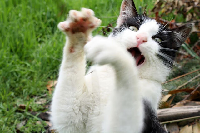 足球战略分析：顶级球队的布局与调整，足球战略分析_顶级球队的布局与调整