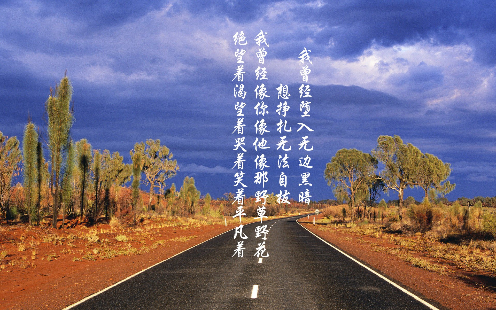 “天府校区台球赛：精准击球与战术博弈的巅峰对决”