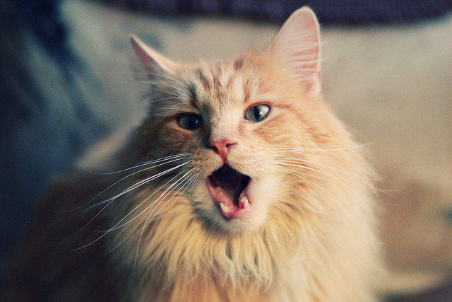 AYX官网-中国篮球推广战术手册帮助青训教练统一教学语言，2021篮球培训