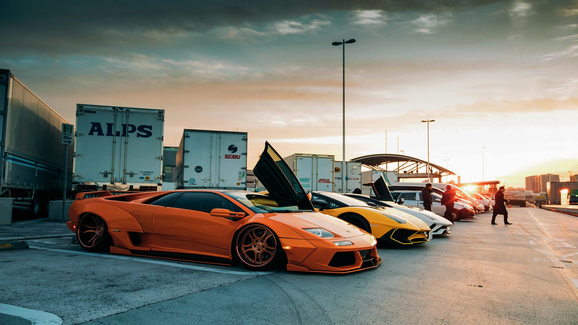 冠军教头独家专访，揭秘执教心得，冠军教头是什么意思